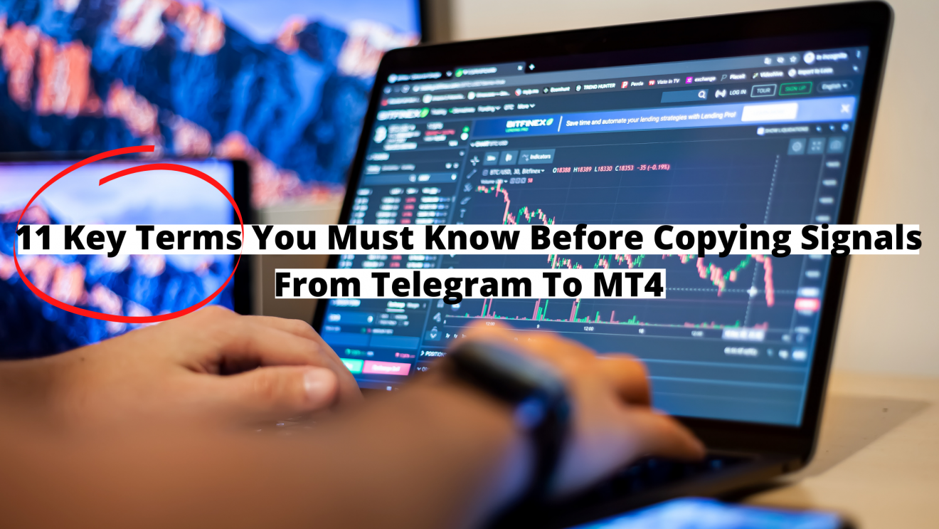 Trade Copier of Telegram Trading Signals TelegramFxCopier Telegram