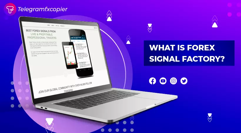 what is signal factory