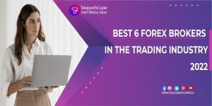 Best 6 Forex Brokers in the Trading Industry 2022